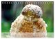 Thumbnail-12