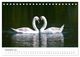 Thumbnail-14