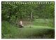 Thumbnail-11