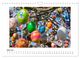 Thumbnail-9