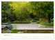 Thumbnail-14