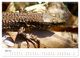 Thumbnail-10