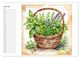 Thumbnail-8