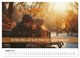 Thumbnail-13