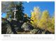 Thumbnail-12