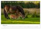 Thumbnail-10