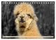 Thumbnail-9