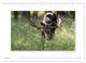 Thumbnail-11