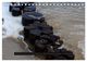 Thumbnail-14