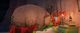 Thumbnail-10