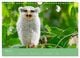 Thumbnail-8