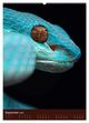 Thumbnail-14