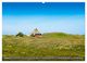 Thumbnail-8