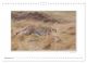 Thumbnail-11