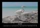 Thumbnail-10