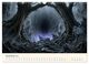 Thumbnail-14
