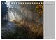 Thumbnail-13