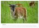 Thumbnail-8