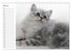 Thumbnail-12