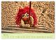 Thumbnail-10