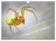 Thumbnail-14