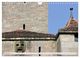 Thumbnail-14