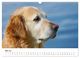 Thumbnail-10