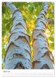 Thumbnail-14