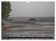 Thumbnail-13