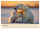 Thumbnail-14