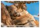 Thumbnail-14