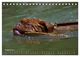 Thumbnail-13