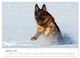 Thumbnail-14