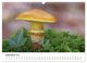 Thumbnail-11