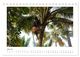 Thumbnail-9