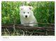 Thumbnail-11