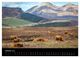 Thumbnail-12