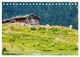 Thumbnail-8