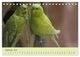 Thumbnail-11