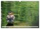 Thumbnail-8