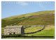 Thumbnail-12