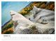 Thumbnail-11