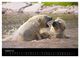Thumbnail-10