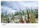 Thumbnail-12