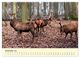 Thumbnail-14