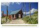 Thumbnail-14