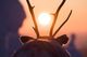 Thumbnail-14