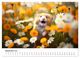 Thumbnail-14