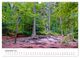 Thumbnail-14