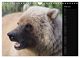 Thumbnail-12